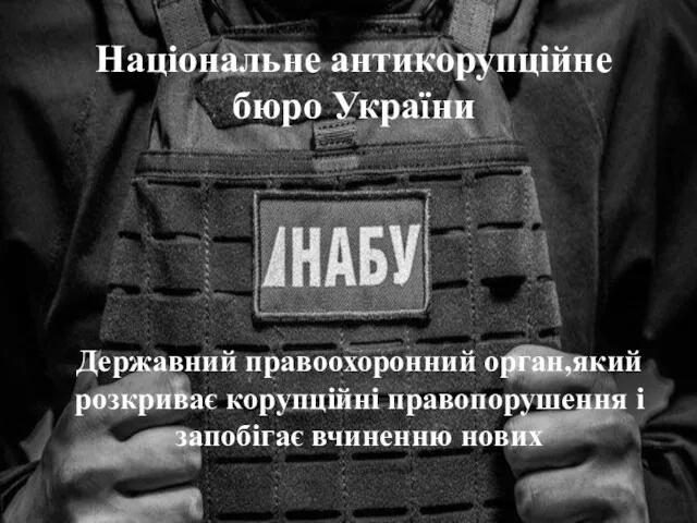 Національне антикорупційне бюро України Державний правоохоронний орган,який розкриває корупційні правопорушення і запобігає вчиненню нових