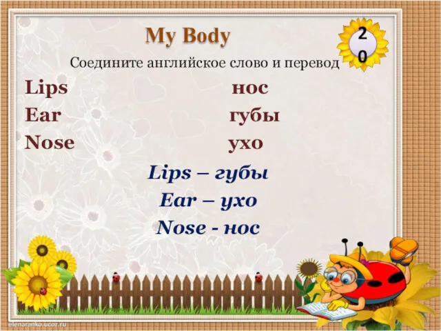 Lips – губы Ear – ухо Nose - нос Соедините