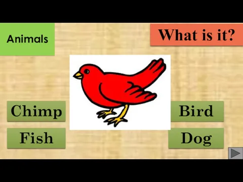 Fish Bird Chimp Dog What is it? Animals