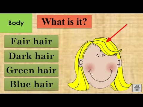 Blue hair Fair hair Green hair Dark hair What is it? Body