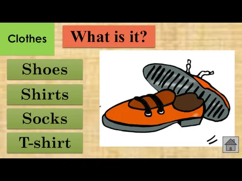 Shoes Socks Shirts T-shirt What is it? Clothes