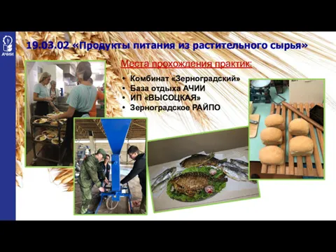 19.03.02 «Продукты питания из растительного сырья» Места прохождения практик: Комбинат «Зерноградский» База отдыха