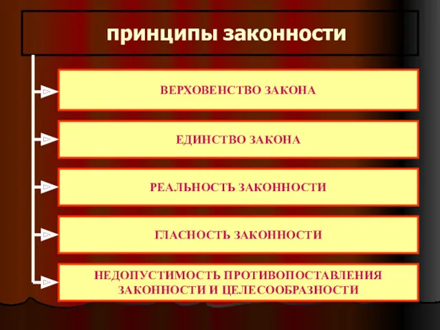 принципы законности ВЕРХОВЕНСТВО ЗАКОНА ЕДИНСТВО ЗАКОНА РЕАЛЬНОСТЬ ЗАКОННОСТИ ГЛАСНОСТЬ ЗАКОННОСТИ НЕДОПУСТИМОСТЬ ПРОТИВОПОСТАВЛЕНИЯ ЗАКОННОСТИ И ЦЕЛЕСООБРАЗНОСТИ