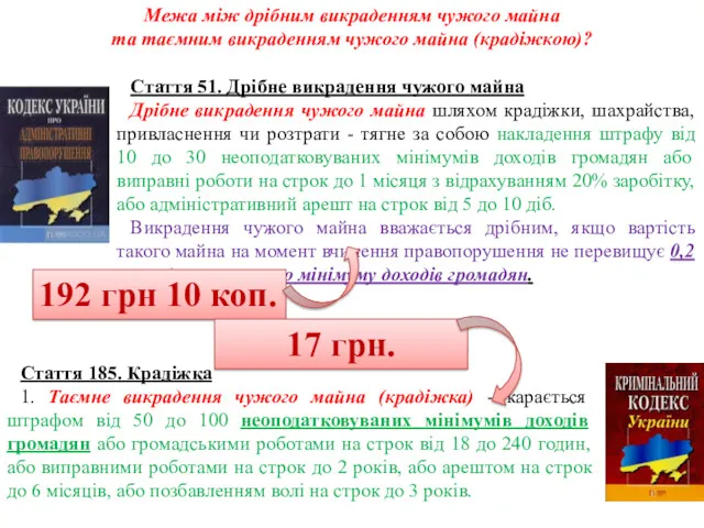 Межа між дрібним викраденням чужого майна та таємним викраденням чужого