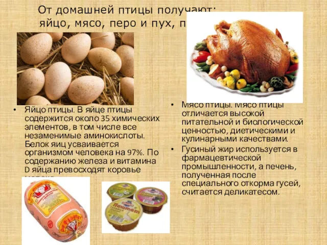 От домашней птицы получают: яйцо, мясо, перо и пух, помет.