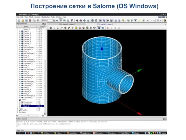 Построение сетки в Salome (OS Windows)
