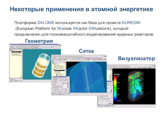 Некоторые применения в атомной энергетике Геометрия Сетка Визуализатор Платформа SALOME