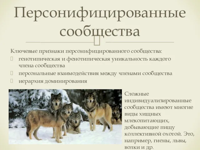 Ключевые признаки персонифицированного сообщества: генотипическая и фенотипическая уникальность каждого члена