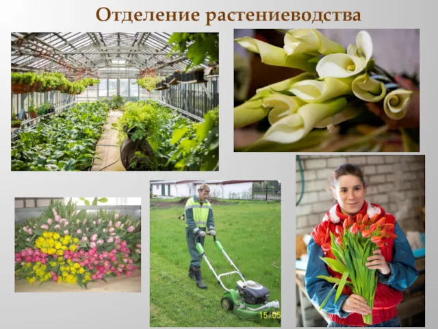 Отделение растениеводства