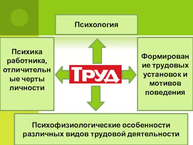 Психология Психофизиологические особенности различных видов трудовой деятельности Психика работника, отличительные