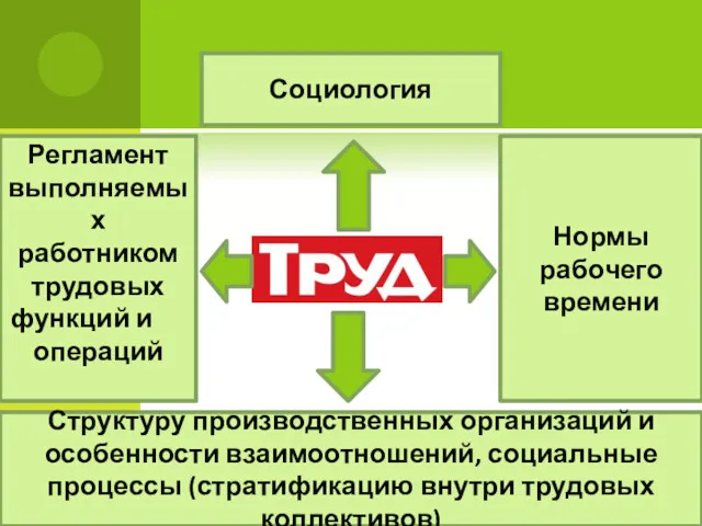 Социология Структуру производственных организаций и особенности взаимоотношений, социальные процессы (стратификацию