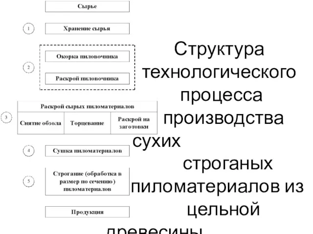 Структура технологического процесса производства сухих строганых пиломатериалов из цельной древесины.