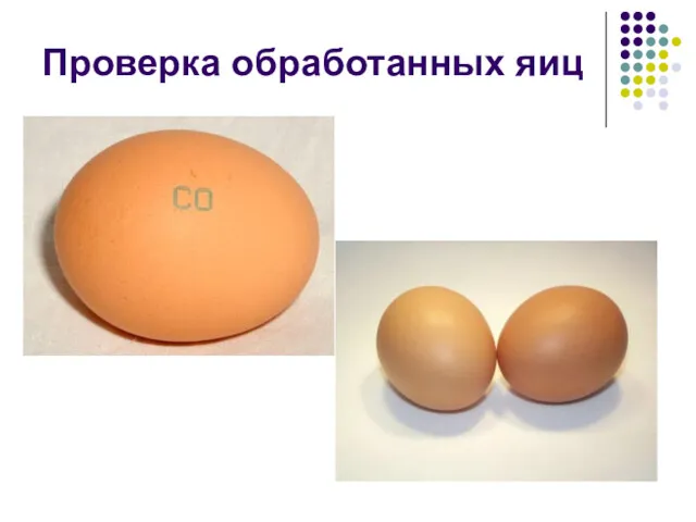 Проверка обработанных яиц