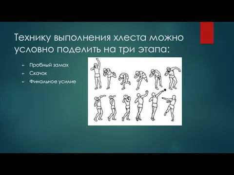 Технику выполнения хлеста можно условно поделить на три этапа: Пробный замах Скачок Финальное усилие