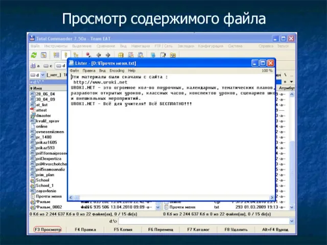 Просмотр содержимого файла
