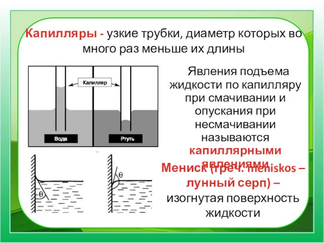 Капилляры - узкие трубки, диаметр которых во много раз меньше