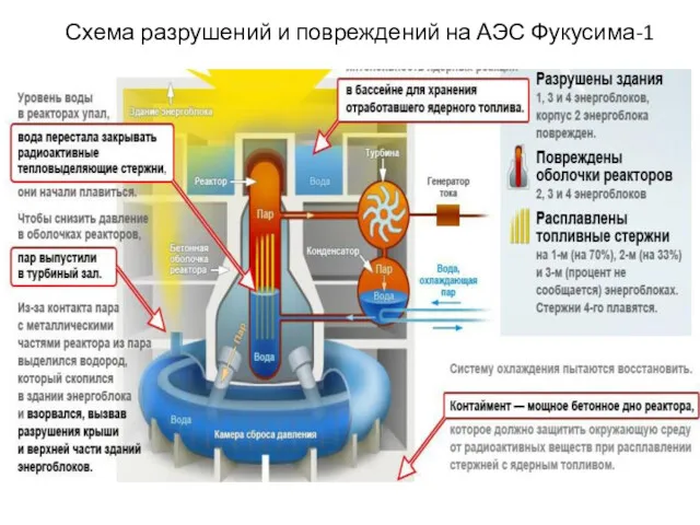 Схема разрушений и повреждений на АЭС Фукусима-1