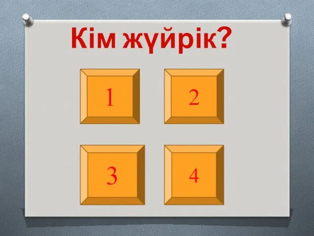 Кім жүйрік? 1 2 3 4