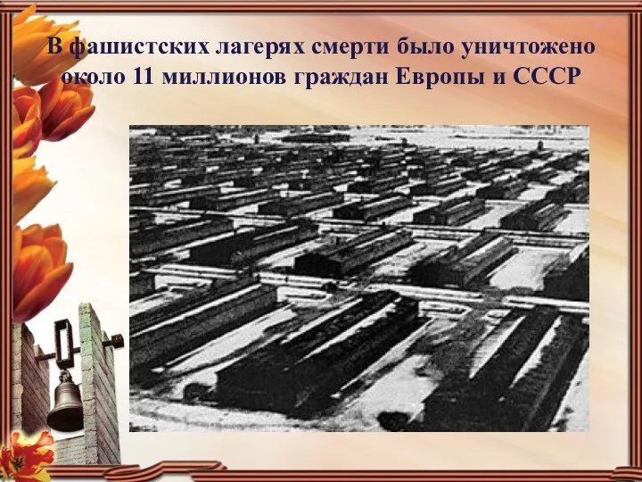 В фашистских лагерях смерти было уничтожено около 11 миллионов граждан Европы и СССР