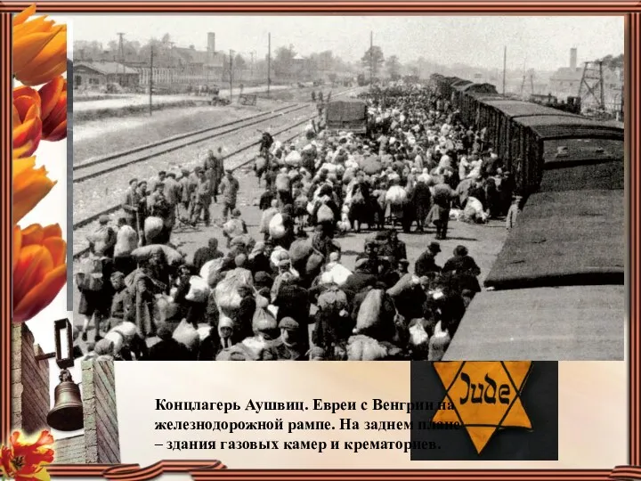 Концлагерь Аушвиц. Евреи с Венгрии на железнодорожной рампе. На заднем плане – здания