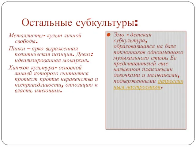 Остальные субкультуры: Металлисты- культ личной свободы. Панки – ярко выраженная