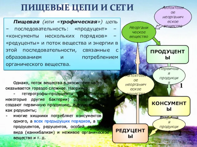 ПИЩЕВЫЕ ЦЕПИ И СЕТИ Пищевая (или «трофическая») цепь – последовательность: