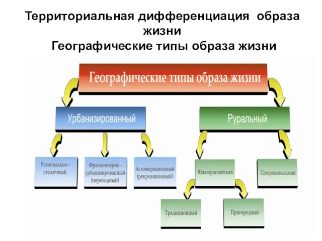 Территориальная дифференциация образа жизни Географические типы образа жизни