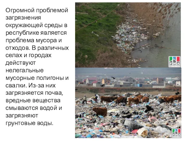 Огромной проблемой загрязнения окружающей среды в республике является проблема мусора