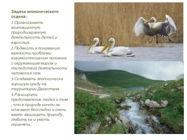 Задачи экологического отдела : 1.Организовать агитационную природоохранную деятельность детей и