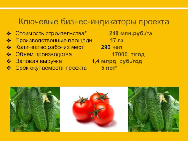 Ключевые бизнес-индикаторы проекта Стоимость строительства* 248 млн.руб./га Производственные площади 17 га Количество рабочих