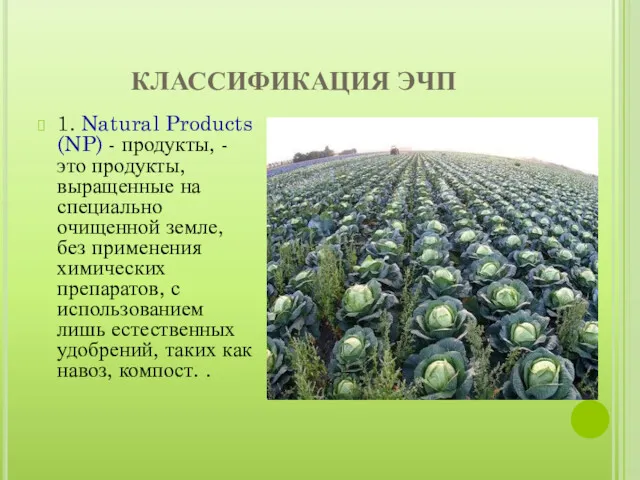 КЛАССИФИКАЦИЯ ЭЧП 1. Natural Products (NP) - продукты, - это