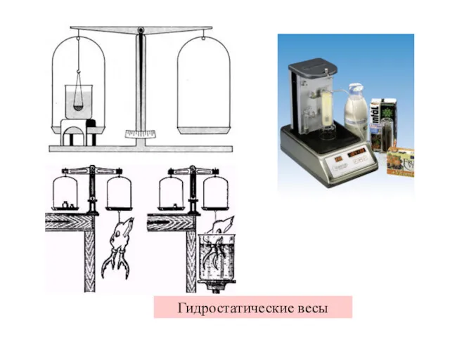Гидростатические весы