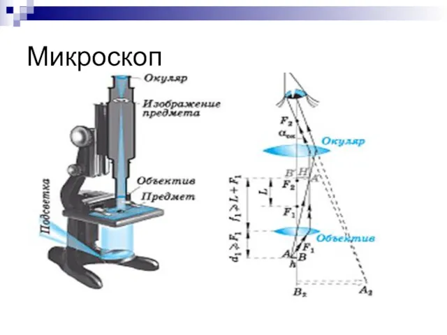 Микроскоп