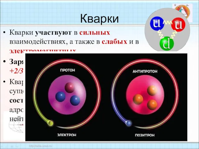 Кварки Кварки участвуют в сильных взаимодействиях, а также в слабых