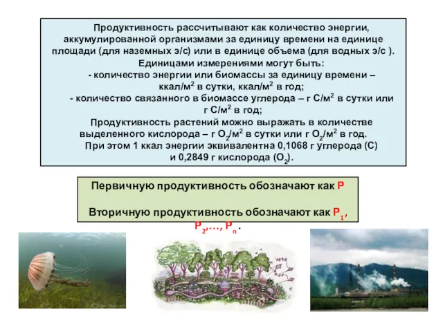 Первичную продуктивность обозначают как Р Вторичную продуктивность обозначают как Р1, Р2,…, Рn .