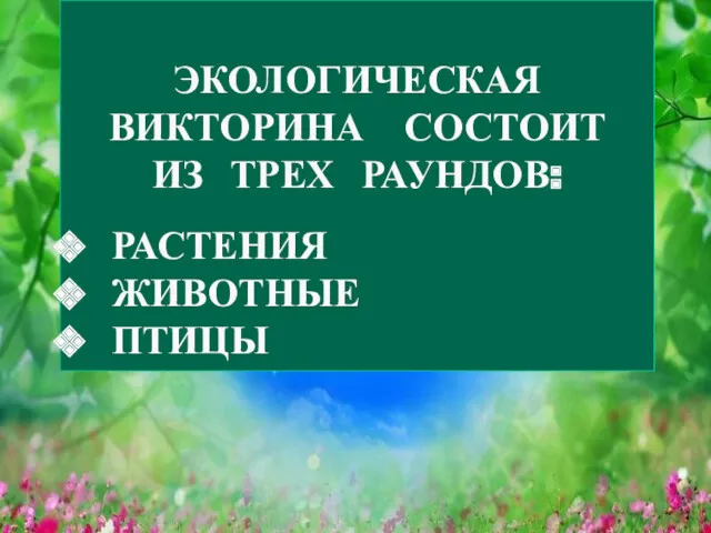 ЭКОЛОГИЧЕСКАЯ ВИКТОРИНА СОСТОИТ ИЗ ТРЕХ РАУНДОВ: РАСТЕНИЯ ЖИВОТНЫЕ ПТИЦЫ