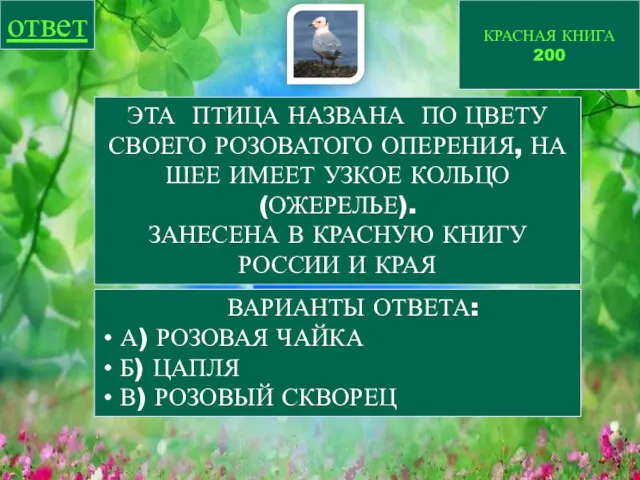 КРАСНАЯ КНИГА 200 ответ ЭТА ПТИЦА НАЗВАНА ПО ЦВЕТУ СВОЕГО