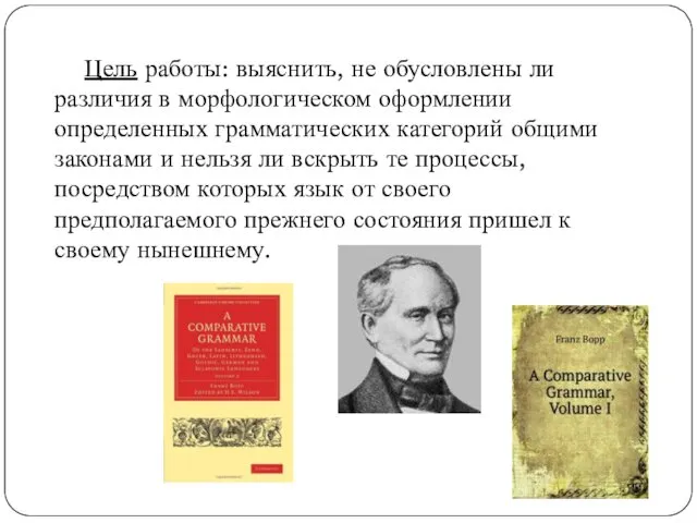 Цель работы: выяснить, не обусловлены ли различия в морфологическом оформлении