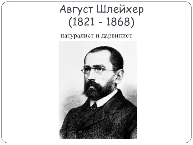 Август Шлейхер (1821 - 1868) натуралист и дарвинист