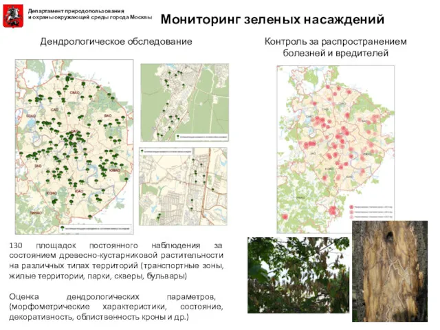 130 площадок постоянного наблюдения за состоянием древесно-кустарниковой растительности на различных