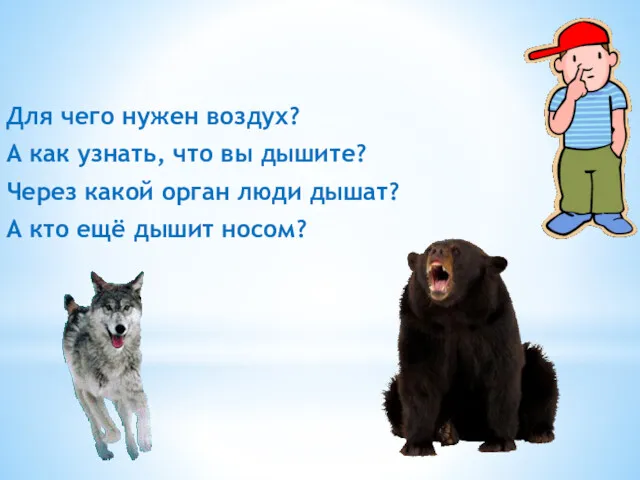 Для чего нужен воздух? А как узнать, что вы дышите?