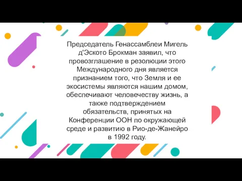 Председатель Генассамблеи Мигель д'Эското Брокман заявил, что провозглашение в резолюции