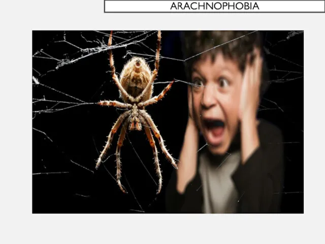 ARACHNOPHOBIA