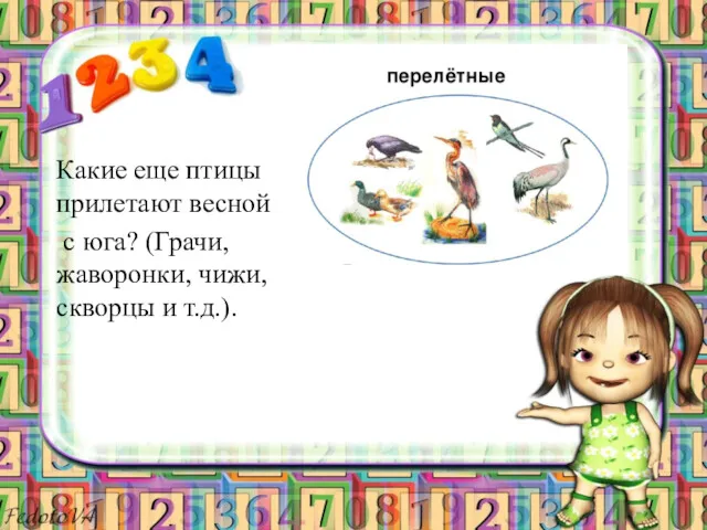 Какие еще птицы прилетают весной с юга? (Грачи, жаворонки, чижи, скворцы и т.д.).