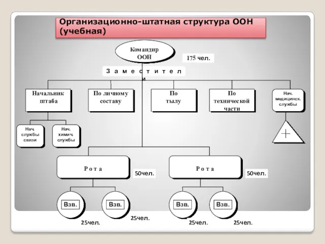 Организационно-штатная структура ООН (учебная)