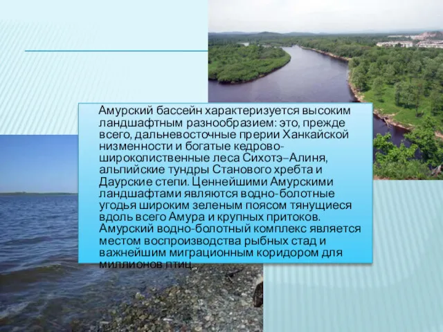 Амурский бассейн характеризуется высоким ландшафтным разнообразием: это, прежде всего, дальневосточные