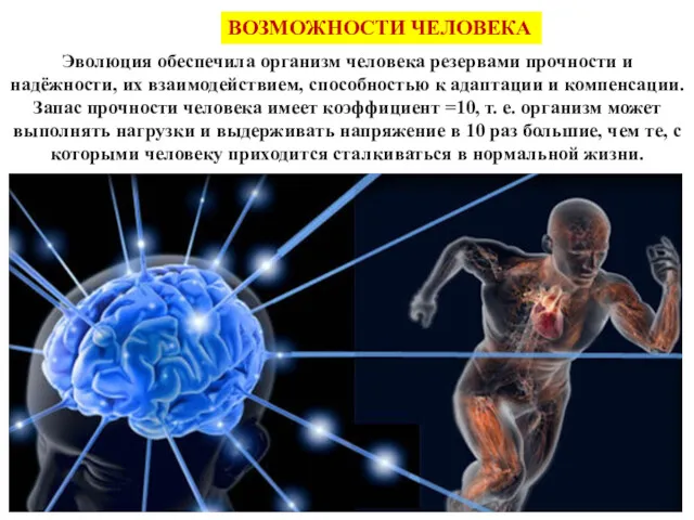 Эволюция обеспечила организм человека резервами прочности и надёжности, их взаимодействием,