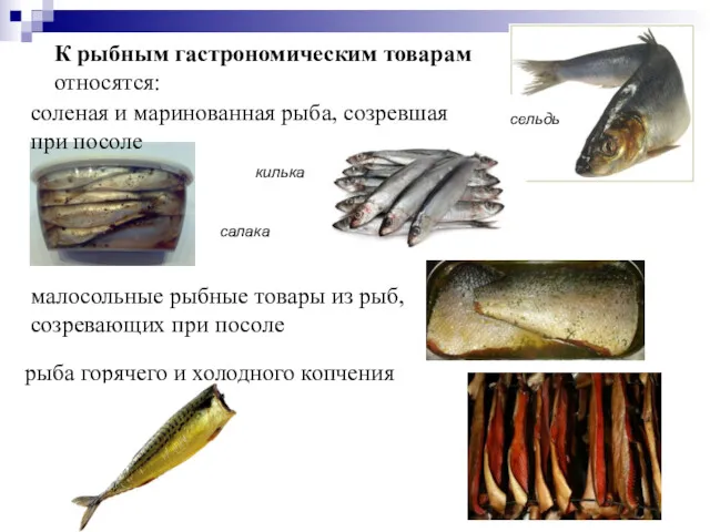 К рыбным гастрономическим товарам относятся: соленая и маринованная рыба, созревшая