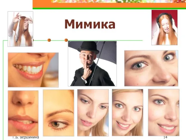 Г.Б. Вершинина Мимика