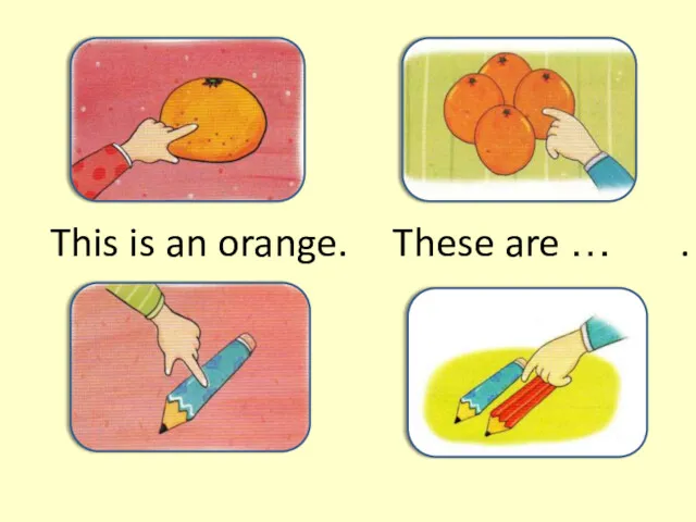 This is an orange. These are … .
